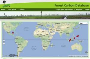 forest carbon database Cifor