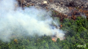 indonesia-fire-june-21