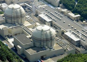 An aerial view shows Kansai Electric Power Co's Ohi nuclear power plant's No. 4 reactor in Ohi, Fukui prefecture, in this photo taken by Kyodo