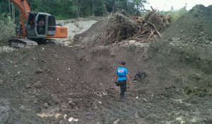 polisianjingpelacak-ist