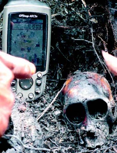 Rawa-Tripa_TempoEnglish-July2012