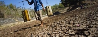 Bagi Indonesia, gelombang El Niño tahun ini tidak bisa lagi hanya dipandang dari ancaman menurunnya angka produksi beras.