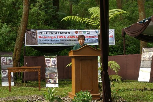 Noviar Andayani WCS Owa Jawa - JH