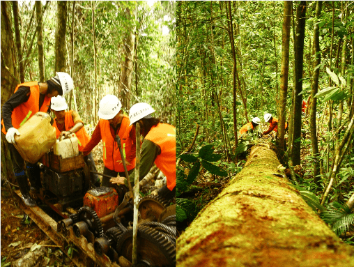 Teknik Monocabel Winch. Foto: Aji Wihardandi – The Nature Conservancy