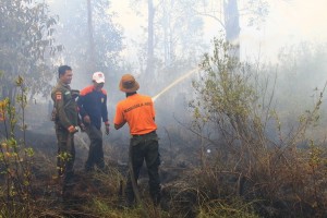 160914maturidi_kebakaran hutan kalteng4