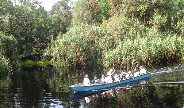 Ekowisata Giam Siak Mulai Untungkan Penduduk
