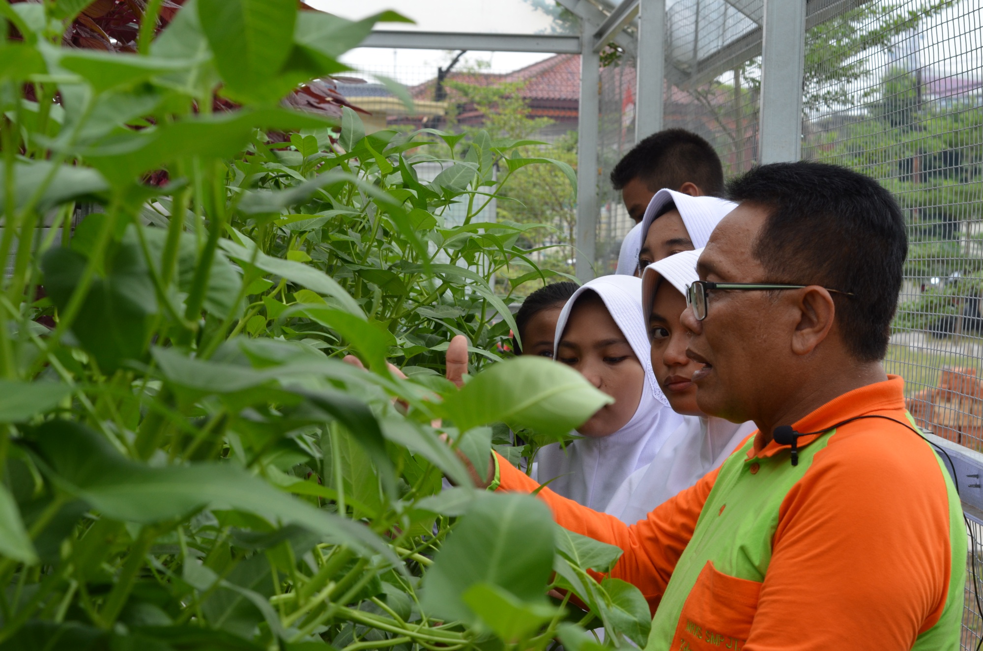 Pertanian Hidroponik: Terobosan Edukatif untuk Memacu Pertanian dan Kemandirian di Sekolah