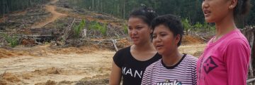 COP30 dan Suara yang Hilang: dari Masyarakat Adat dalam SDNC Indonesia