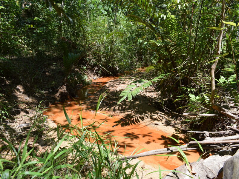 Anak sungai Hutan Lindung Keumuning_Ivo Lestari
