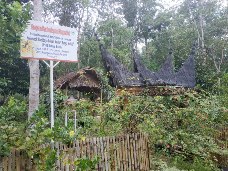 Peternakan lebah madu yang dikelola LPHN Sungai Buluh