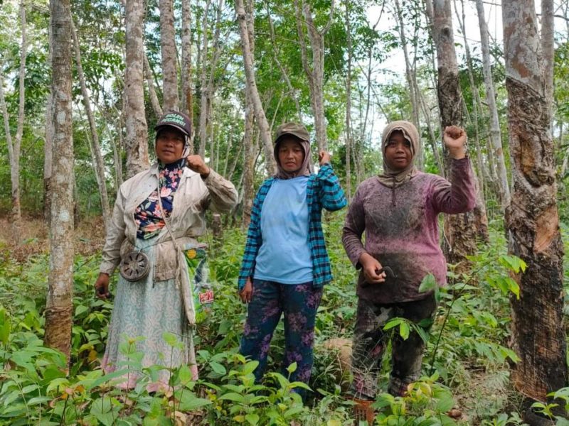 Warga Cawang Gumilir, yang menjadi korban penggusuran PT Musi Hutan Persada (MHP)