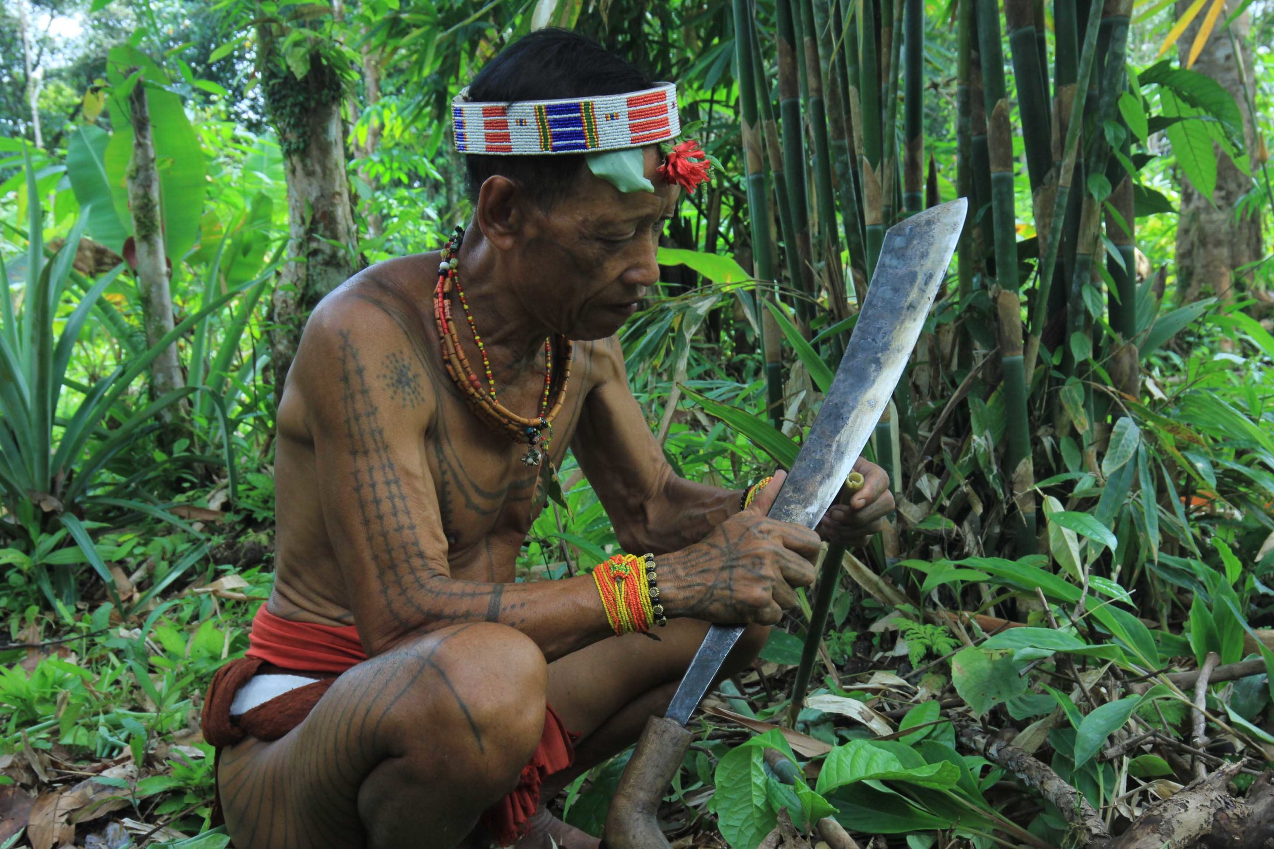 Pulau yang banyak menghasilkan rotan adalah….