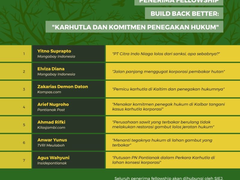 Fellowship Build Back Better Karhutla dan Komitmen Penegakan Hukum