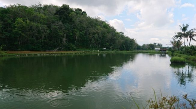 Lanskap Bukit Cogong di Sumatera Selatan