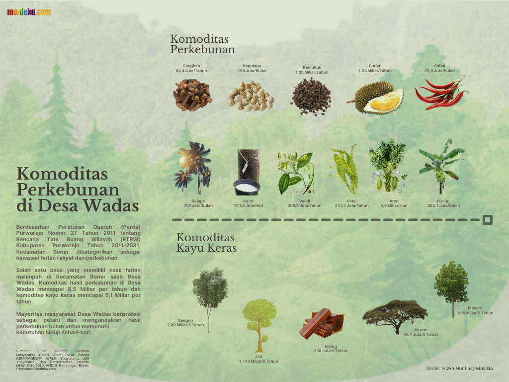 Infografis Komoditas Perkebunan di Desa Wadas