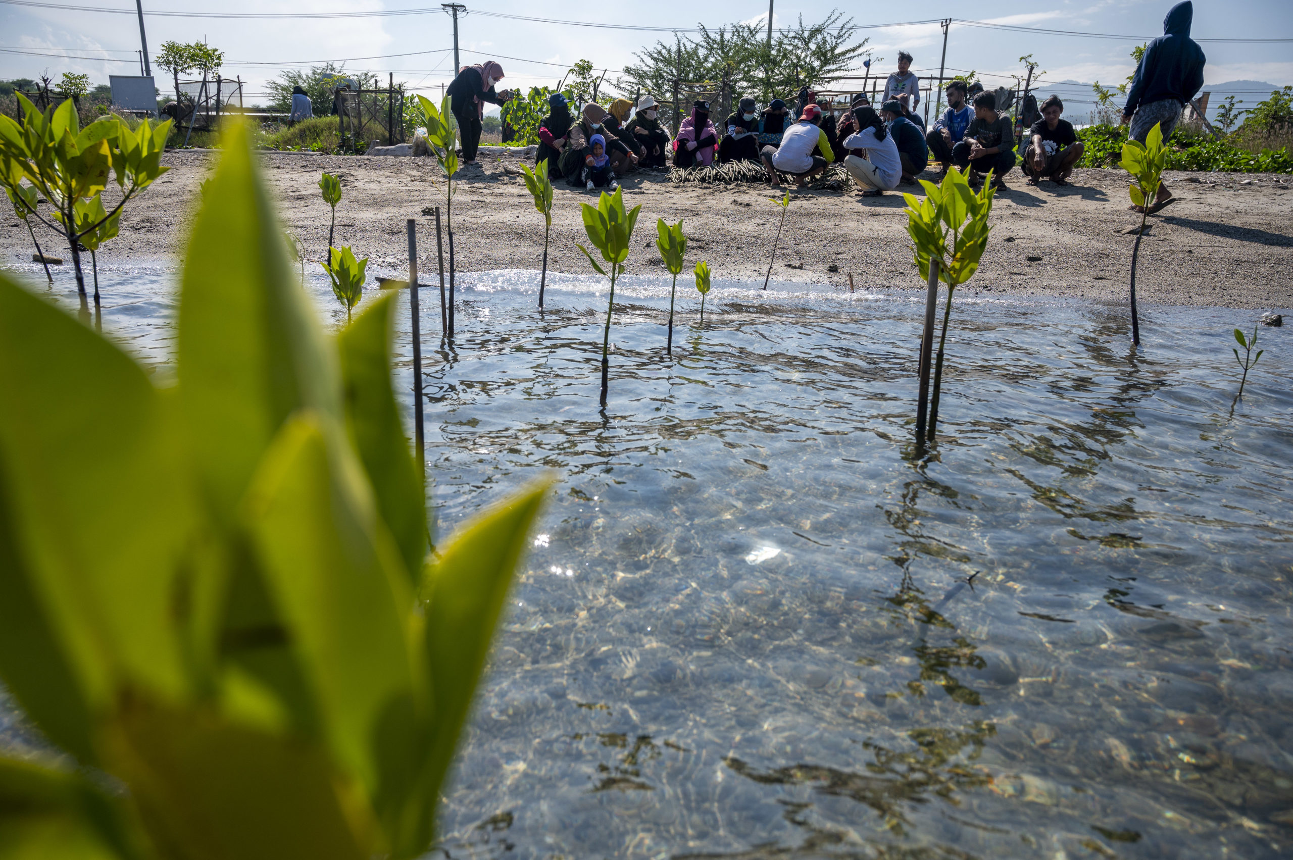 Sejumlah relawan berembug untuk mengatur teknis penanaman mangrove di Pantai Dupa Palu