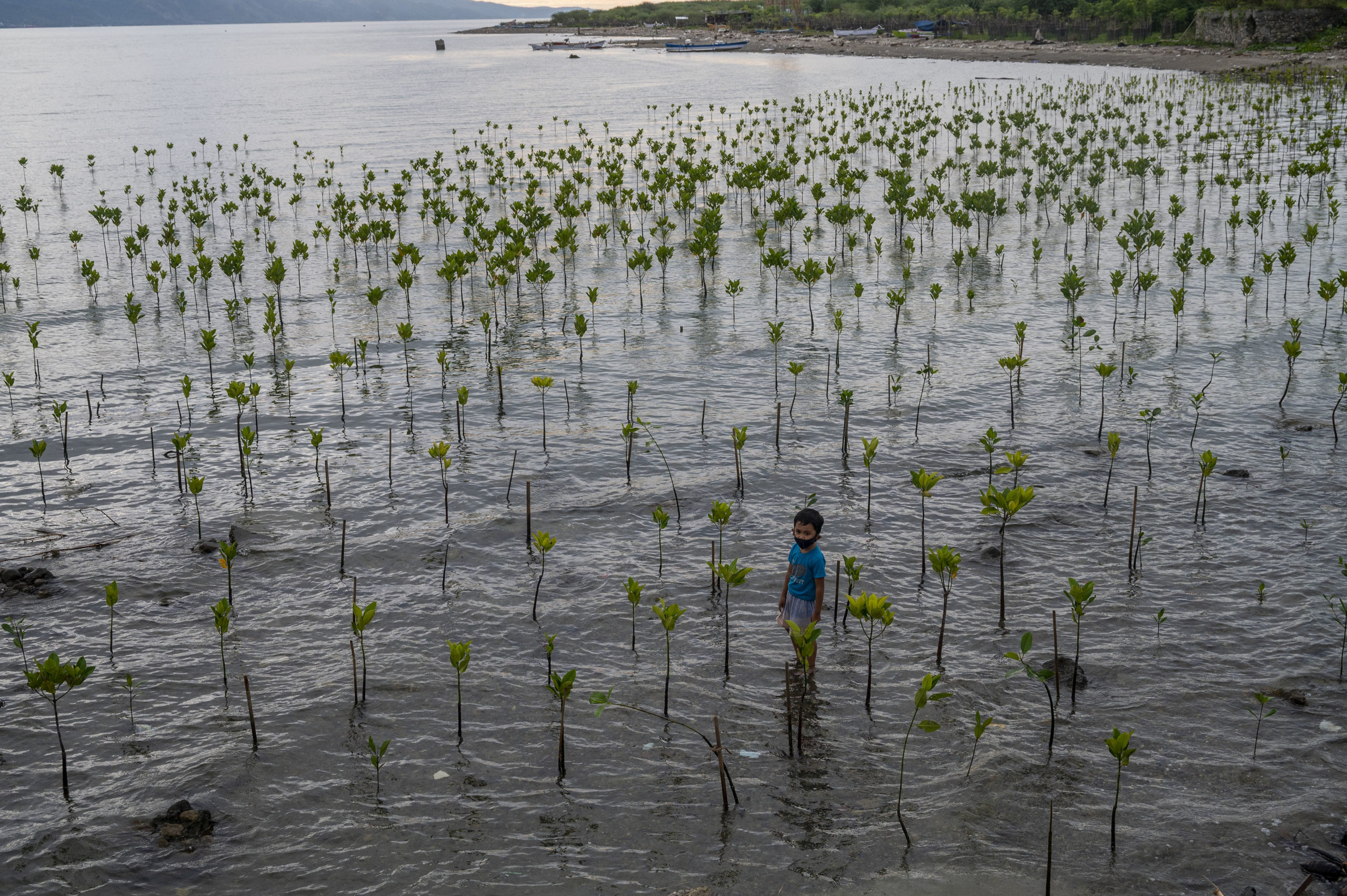 anak-anak pun senang mengunjungi kawasan konservasi mangrove Pantai Dupa ini.