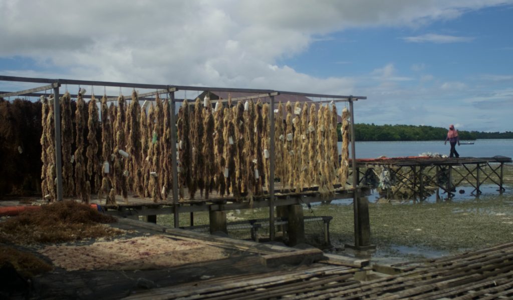 penambangan pasir laut