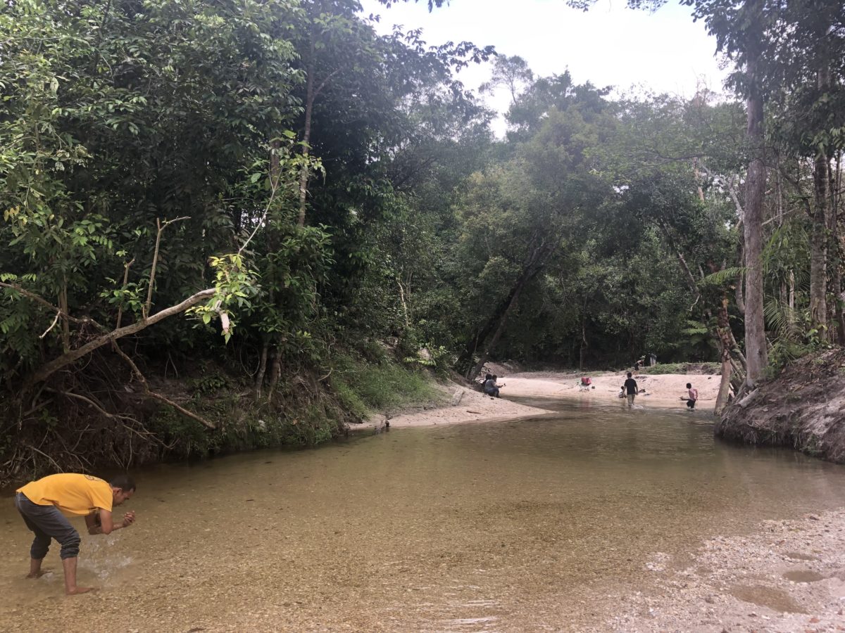 Sungai Emas yang jadi daya tarik bagi pengunjung Hutan Adat Imbo Putui
