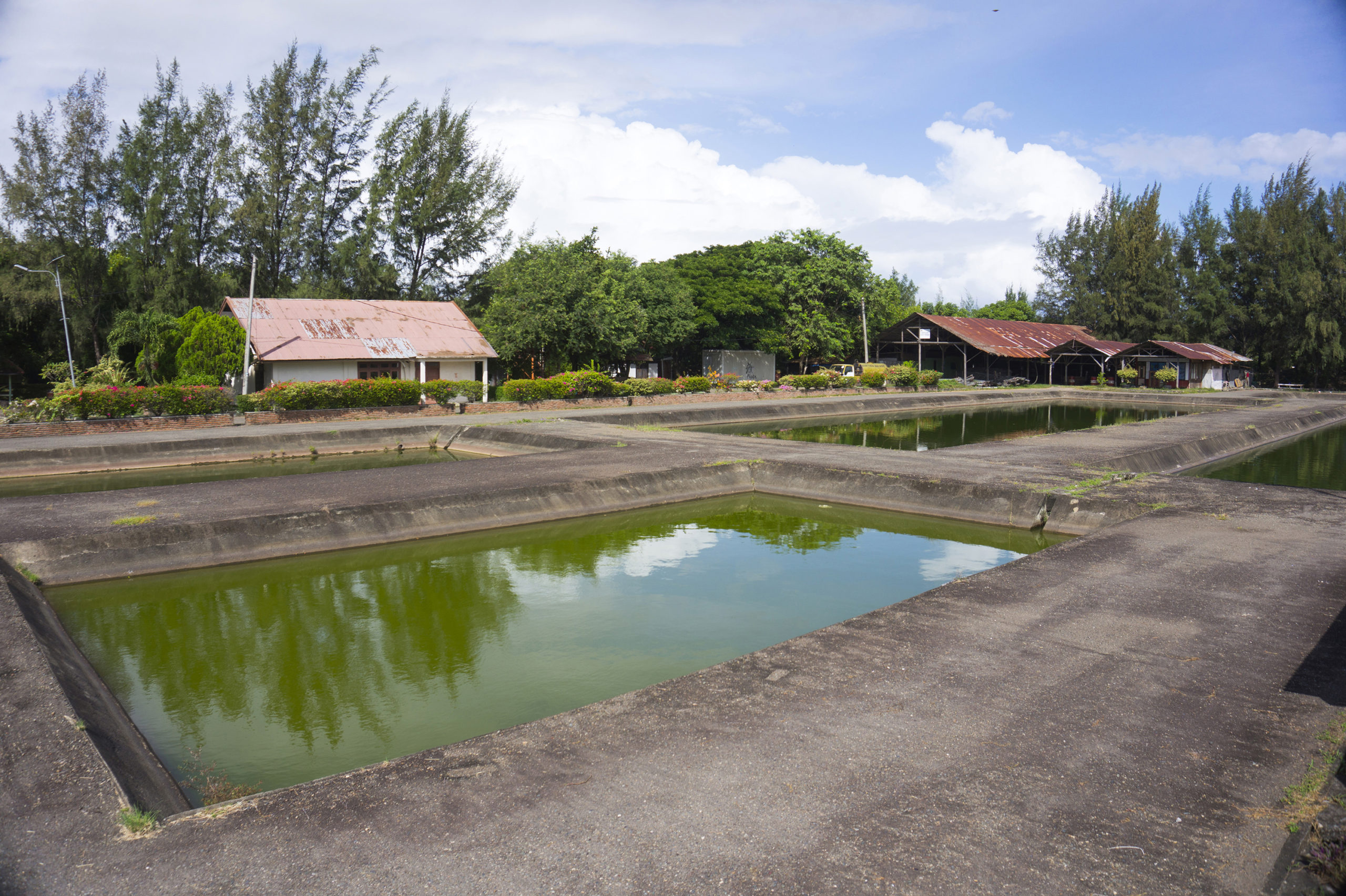 Komplek IPLT Kampung Jawa, Banda Aceh, Selasa (19/10/2021).