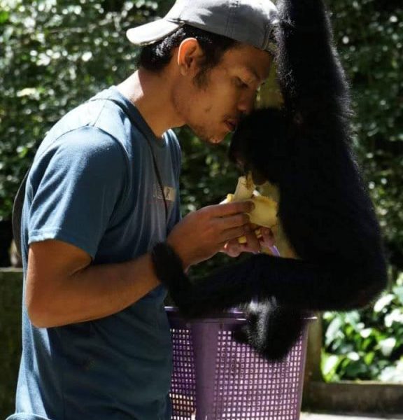 Abdul Rahman Manik, pria asli Sumatera Utara terlibat langsung dalam perlindungan siamang.