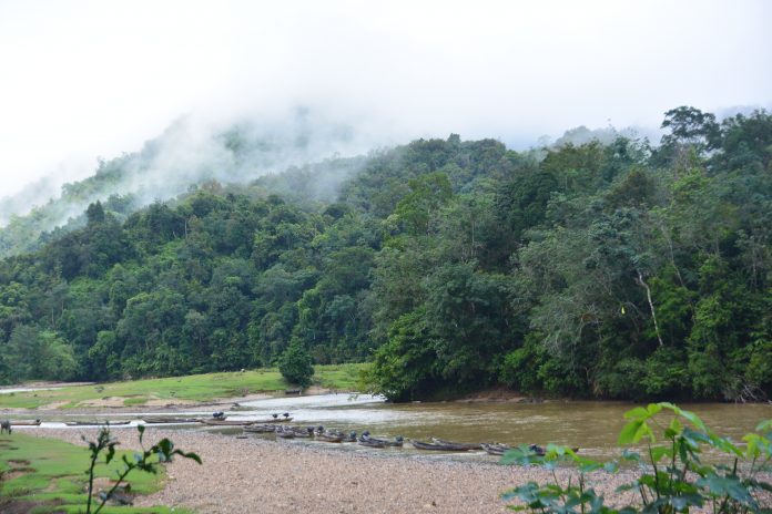 Sungai Subayang