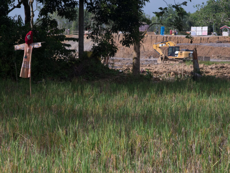 Lahan sawah milik warga berseberangan proyek intake Sungai Sepaku_PM