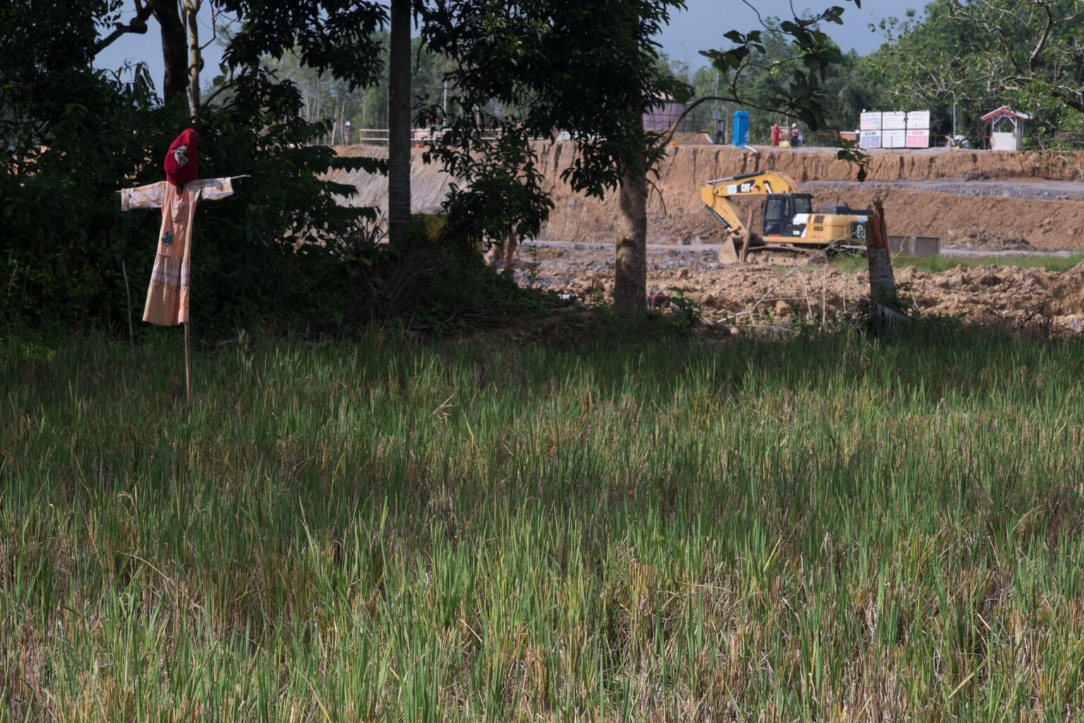 Lahan sawah milik warga berseberangan proyek intake Sungai Sepaku_PM