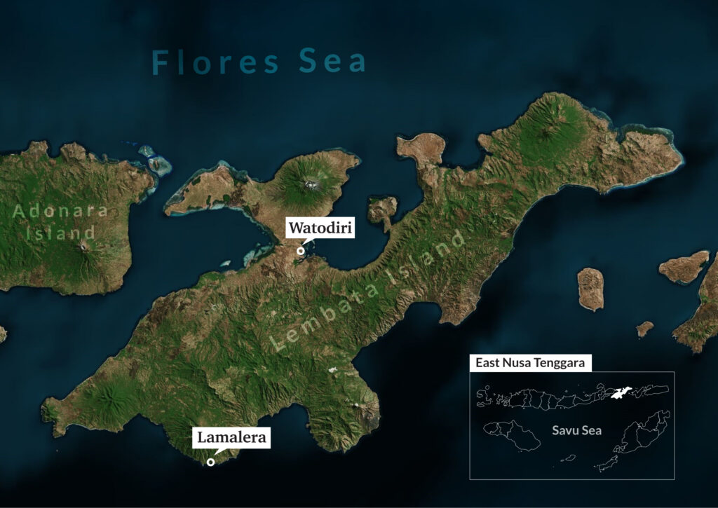 lembata Island map