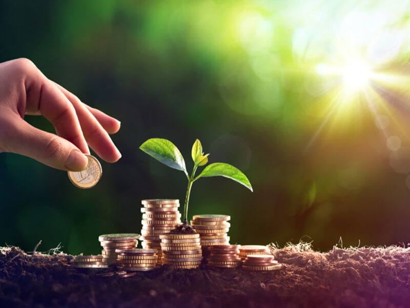 Investasi hijau