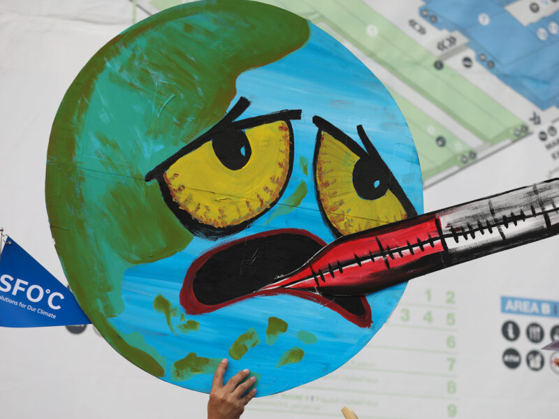 Poster COP27