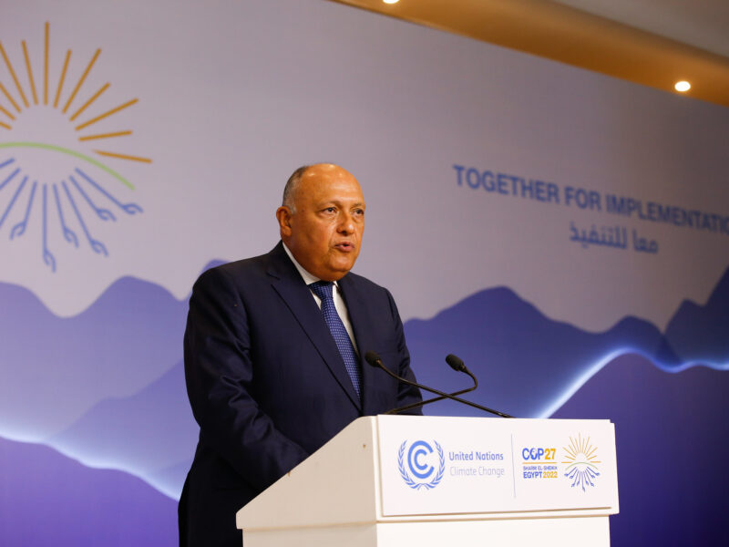 Sameh Shoukry
