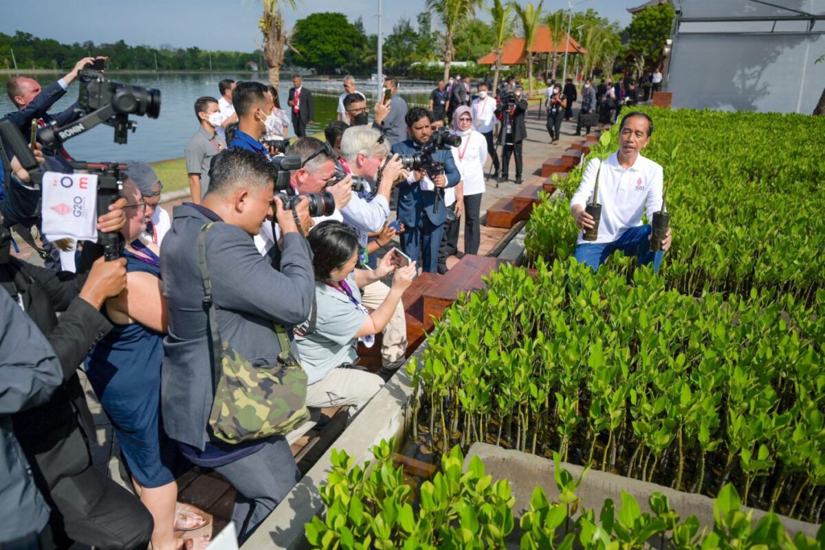 Indonesian President Joko Widodo shows off a mangrove seedling area