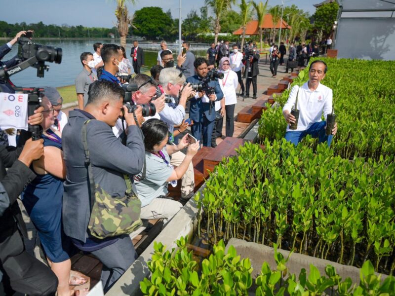 Indonesian President Joko Widodo shows off a mangrove seedling area