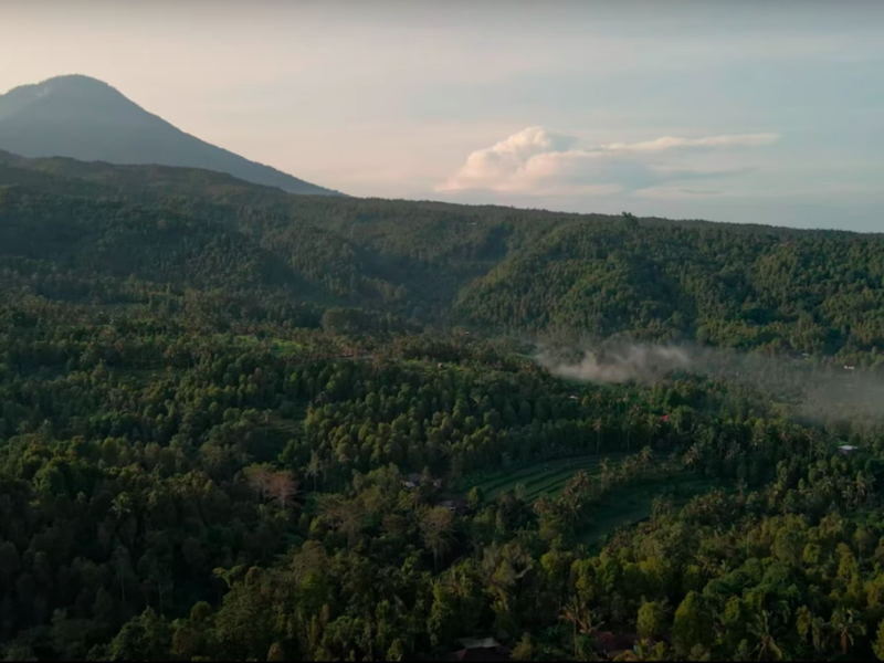 Alas Mertajati Forest