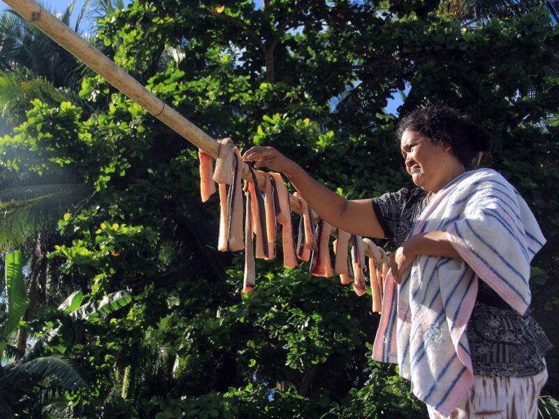 Process of drying shark meat in Sangihe