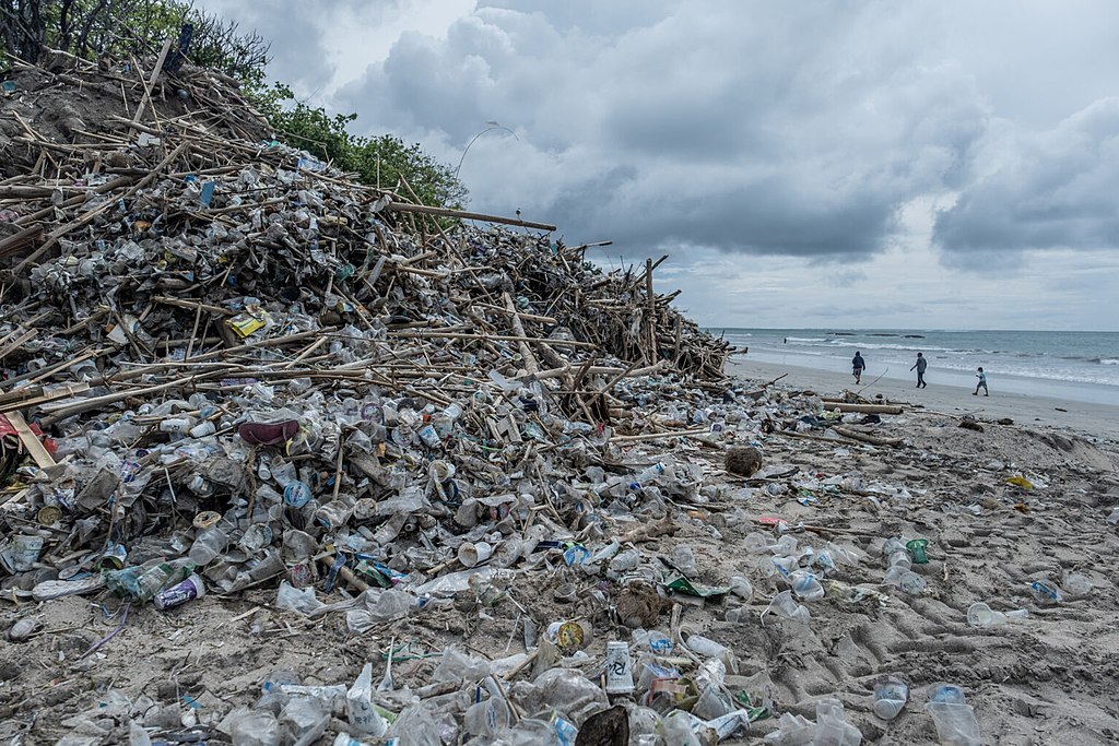 Trash in Bali by Agung Parameswara