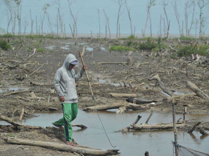Nelayan mencari kepiting di kawasan mangrove Sungai Sayang Jambi