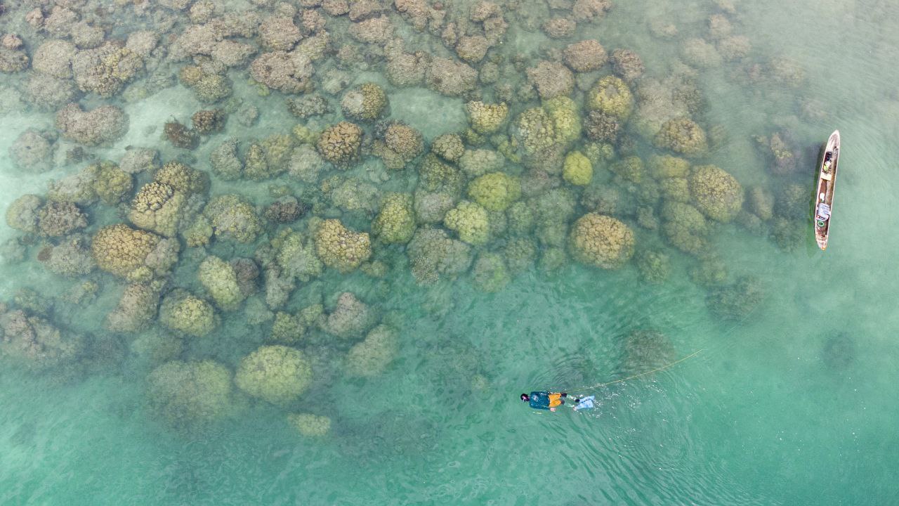 Ilyas Pical Saogo hunting octopus in Mentawai Islands