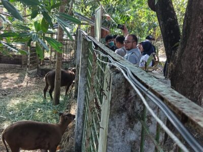 Anoa Breeding Center