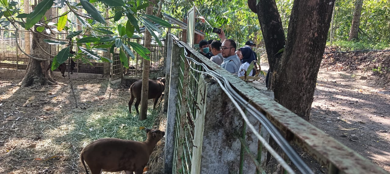 SIEJ at Manado Anoa Breeding Center