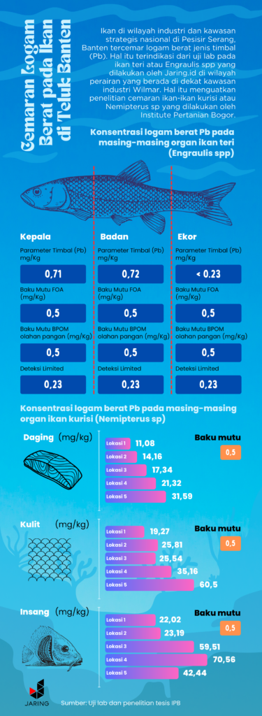 Infografis kandungan logam pada ikan di Teluk Banten