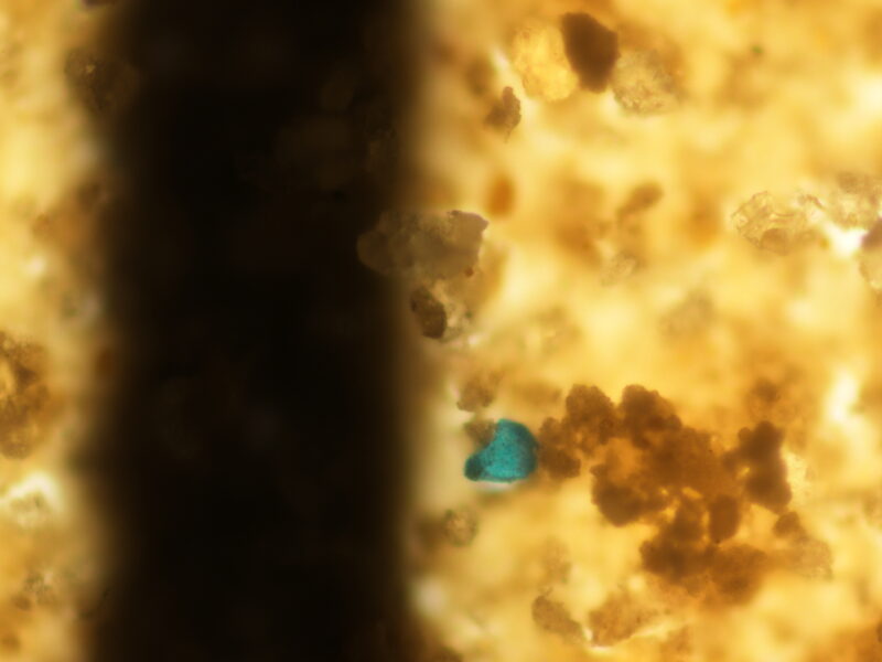 microplastic fragments BRIN