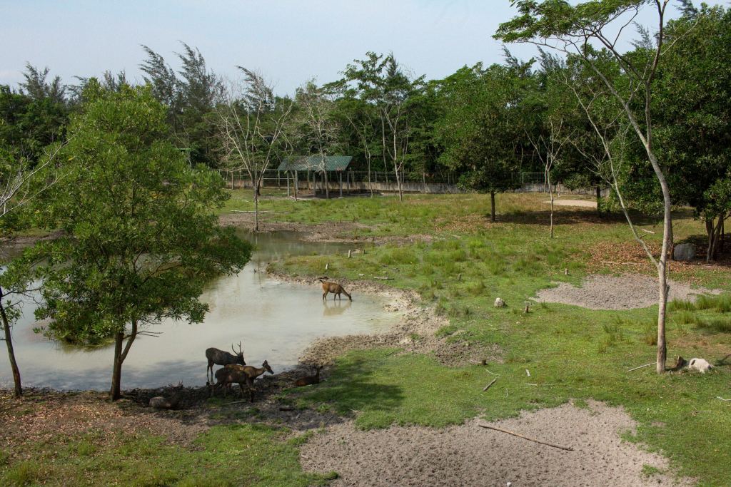 PPS Alobi di Kecamatan Merawang 