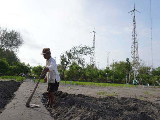 Kincir Angin Pantai Baru trand asia transisi energi