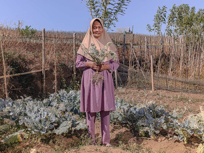 Salah satu sosok petani Malino. (Foto Iqbal Lubis dari laman Greenpeace)