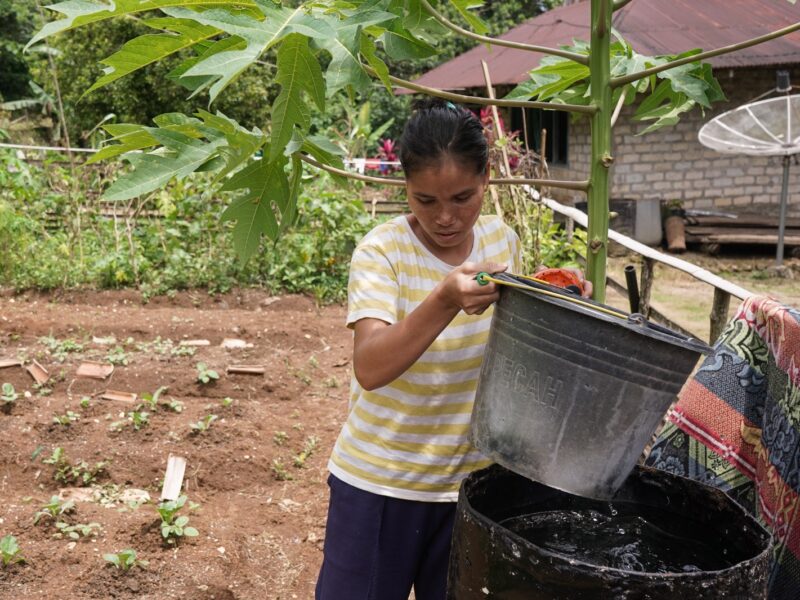 Ibu Shinta, masyarakat Sumba Barat dapat menanam dan menyiram benih sayur di pekarangan rumahnya setelah Save the Children membantu menyediakan akses air bersih. dampak krisis iklim (Foto: Save the Children)