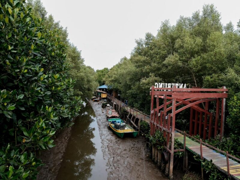 Desa Wisata Lantebung di Kota Makassar, Sulawesi Selatan (Sulsel). Desa ini menjadi contoh keberlanjutan lingkungan pantai dan hutan. (wonderfulimages.kemenparekraf.go.id)
