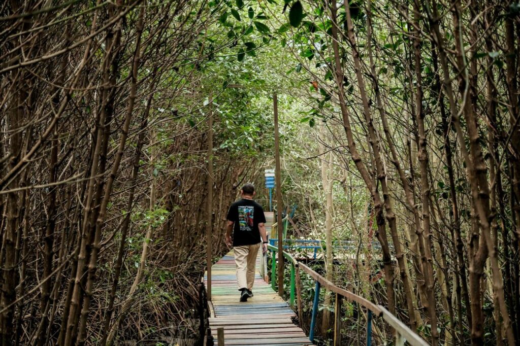 Desa Wisata Lantebung di Kota Makassar, Sulawesi Selatan (Sulsel). Desa ini menjadi contoh keberlanjutan lingkungan pantai dan hutan. (wonderfulimages.kemenparekraf.go.id)