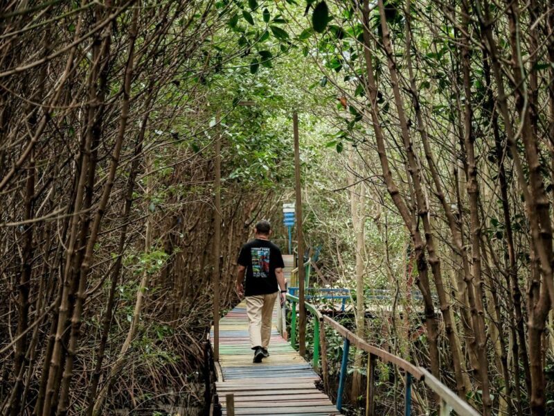 Desa Wisata Lantebung di Kota Makassar, Sulawesi Selatan (Sulsel). Desa ini menjadi contoh keberlanjutan lingkungan pantai dan hutan. (wonderfulimages.kemenparekraf.go.id)